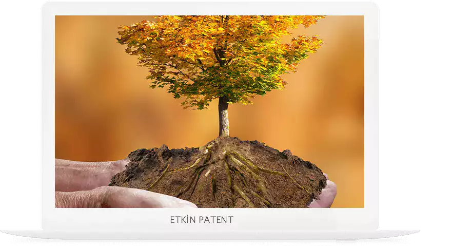 çevre yönetim sistemi denetimi-bakirkoy patent